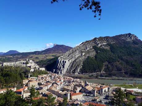 Tour du Bois de Bûche