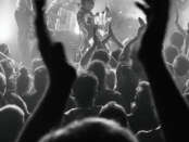 Les Negresses Vertes