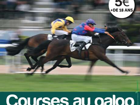 Course hippique