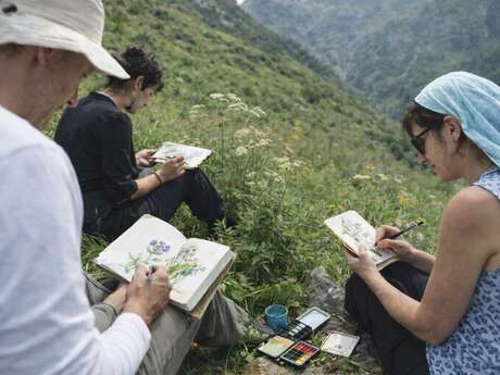 Stage plantes et dessin