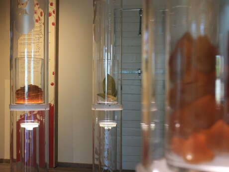 The House of Candied Fruit (La Maison du Fruit Confit)