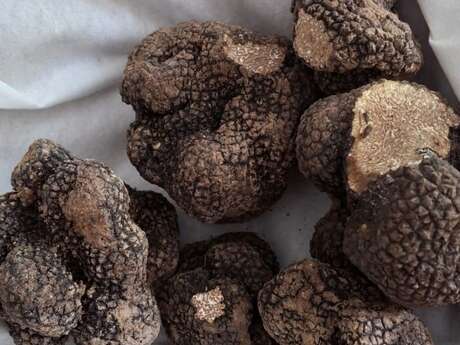 Marché Complice à la truffe blanche