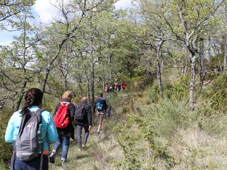 Balade "À la découverte des trésors cachés du site de la Thomassine"