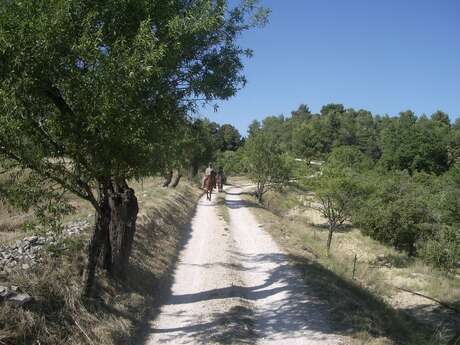 Monts-de-Vaucluse by horseback