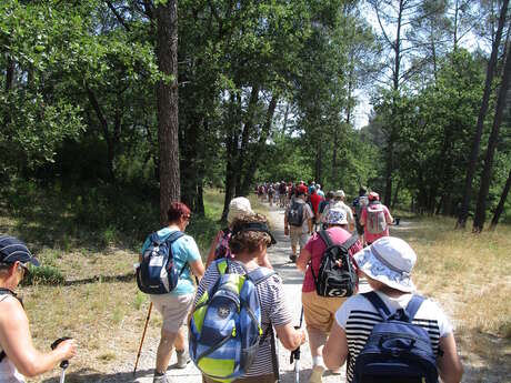 Marche populaire gourmande