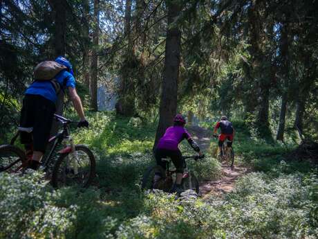 Enduro VTT - Adret'Naline