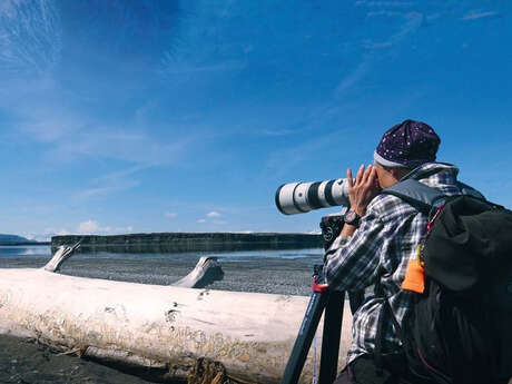 Projection rencontre : Le reflet d'une femme dans le regard d'un ours