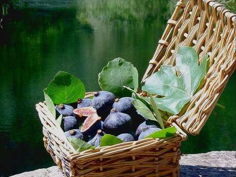 Les Confiotes de Mamie