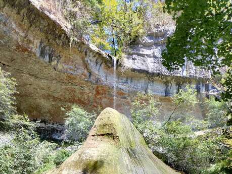 Sortie nature à la cascade du Pain de sucre