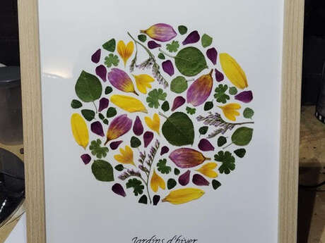 Atelier - Création de tableaux en fleurs séchées