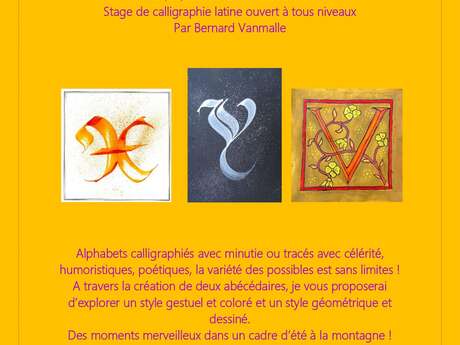 Stage de Calligraphies