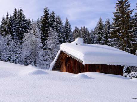 Anello del Cornillon - percorso per racchette da neve