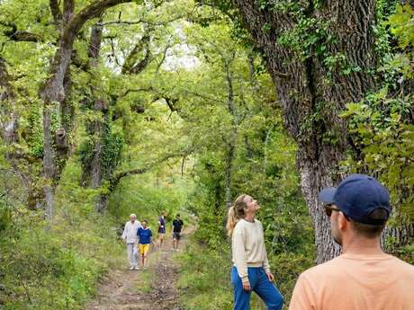 Balade découverte de la biodiversité en forêt | Domaine de la Blaque