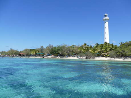 Dal'Ocean - Sortie Catamaran Amédée