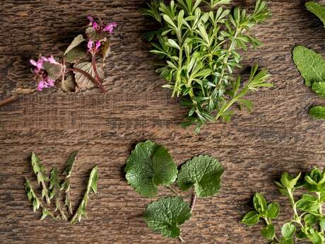 Delicias de la naturaleza