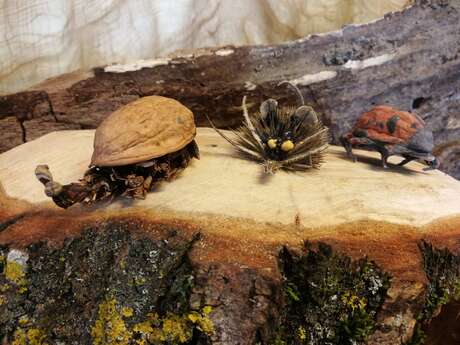 Les ENS fêtent la nature