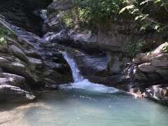 Parcours trail 8 vert : Sentier du Renard