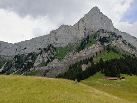 sentier VTT : l'alpage de Véran