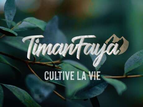 Concert Timanfaya au Carpédiem