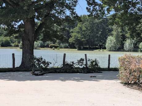 Camping Car Park de la Nizière