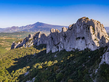 Dentelles de Montmirail