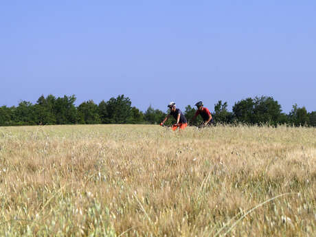 Site VTT FFC - Provence Verdon - Circuit 05 - Rouge