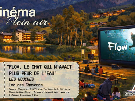 Ciné plein air « Flow, le chat qui n’avait plus peur de l’eau »