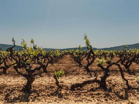 Domaine du Grand Plantier