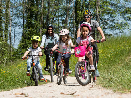 Location de VTT à La Plaine Tonique