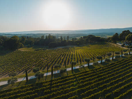Astronomie et terroir