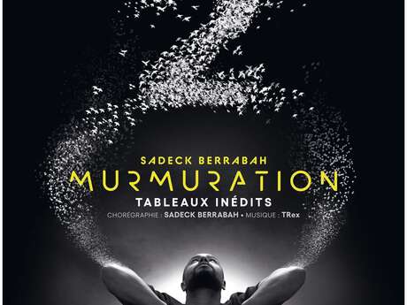 Murmuration - Level 2 - Sadeck Berrabah