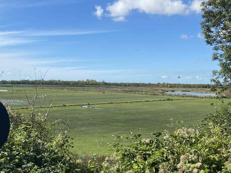 Randonnée du marais du Roy