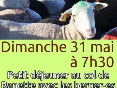 Montée à l'Estive 2026