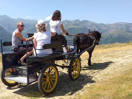 Horse-drawn carriage with Angaka