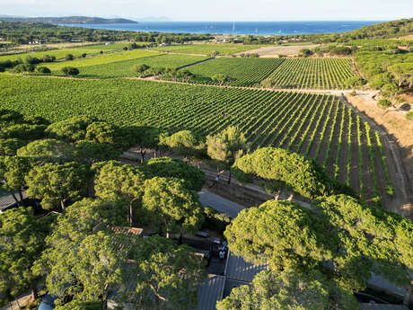 Domaine des Tournels