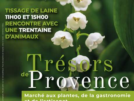 Marché aux plantes, de la gastronomie et de l'artisanat : Trésor de Provence