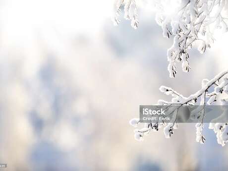 Exposition - « Noël et les autres fêtes de l'hiver »