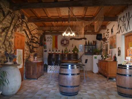 Activités oenotouristiques au Domaine Saint Laurent