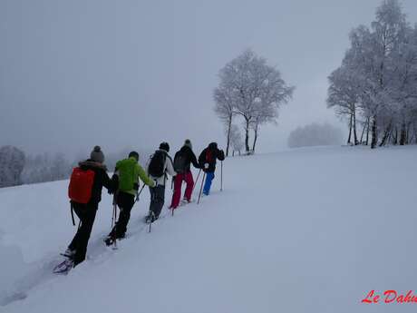 Iniciación a las raquetas de nieve con el Dahu Ariégeois