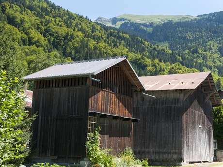 Boucle VTT : Le Tour des Vallons