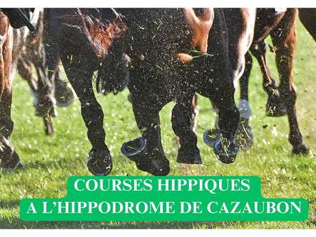 Courses Hippiques à l'hippodrome de Cazaubon