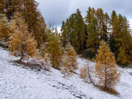 Ciné Vallouise : En attendant la neige