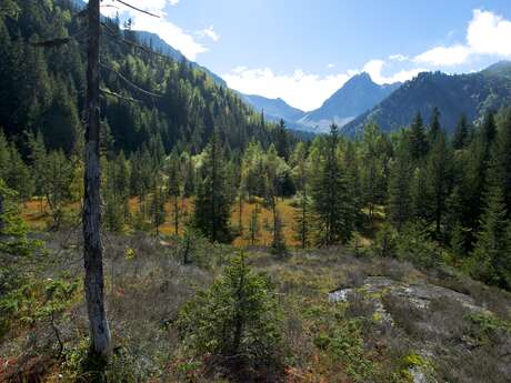 Vous avez dit tourbières ?