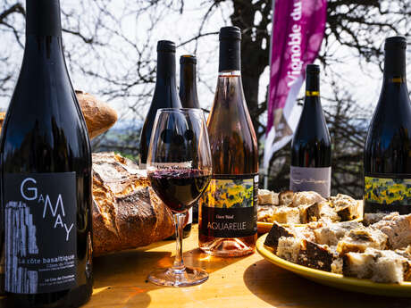Dégustation de vins et planche apéro