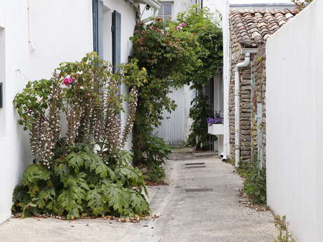 Balade accessible aux Portes-en-Ré
