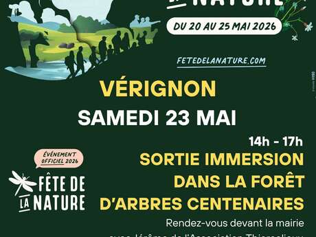 Immersion dans la forêt d'arbres centenaires