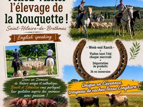 Visite - Elevage de la Rouquette