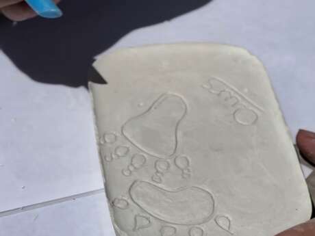Moulage d'empreintes des animaux des Pyrénées à Bonascre