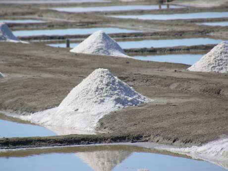 Guided cycling tours of the villages on the Île de Ré by J&M EVASION