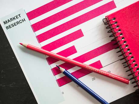 Workshop: Market research